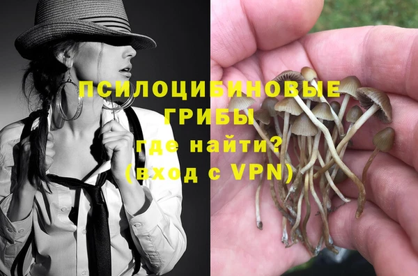 альфа пвп Инсар