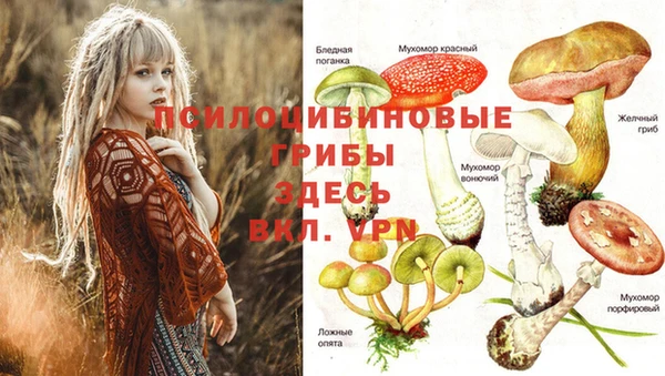 кристаллы Иннополис